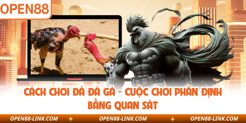 Cách Chơi Đá Đá Gà - Cuộc Chơi Phân Định Bằng Quan Sát