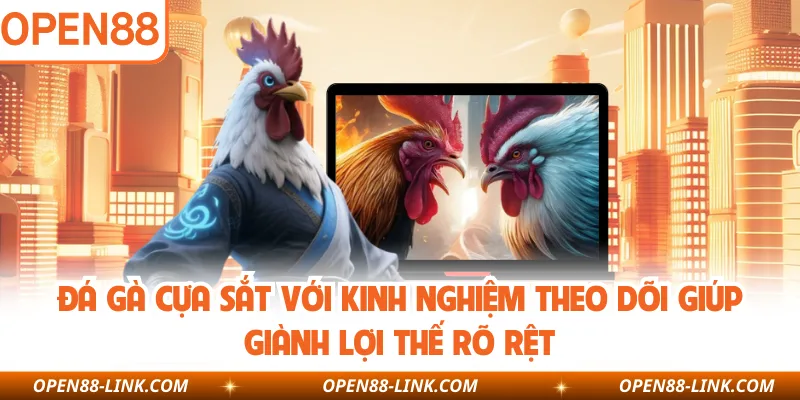 Đá Gà Cựa Sắt Với Kinh Nghiệm Theo Dõi Giúp Giành Lợi Thế Rõ Rệt